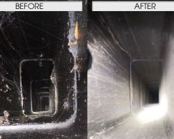 Before & After Chimney Cleaning Before & After Chimney Cleaning
