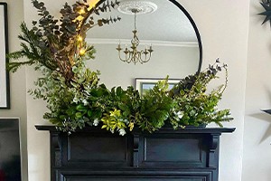 Fireplace Plants