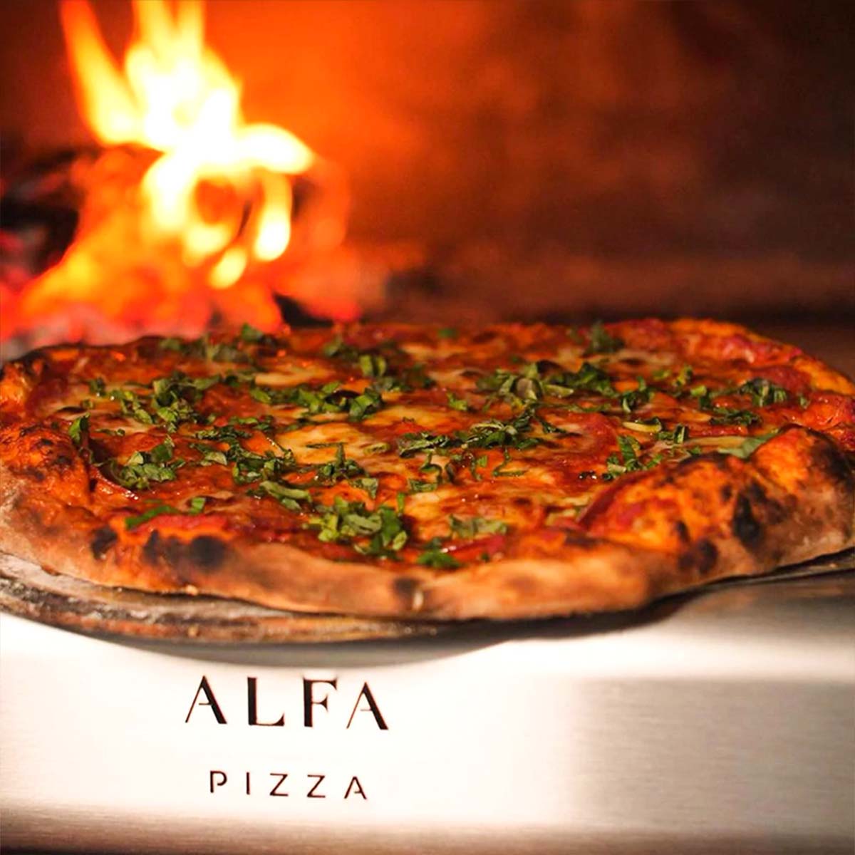Alfa Pizza Oven
