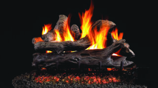 Coastal Drift Wood Coastal Drift Wood