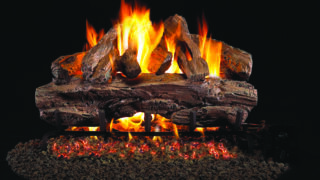 Cedar Cedar
