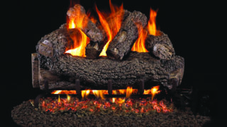 Forest Oak Forest Oak