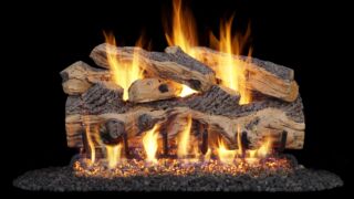 Gnarled Oak Gnarled Oak