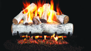 White Birch White Birch