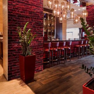 Tempered Ruby Panel Tempered Ruby Panel